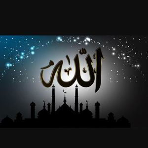 Meet your Posher, Kanwal